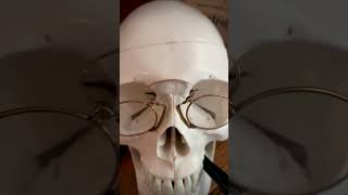 Of Skulls and Golden PinceNez skull antiques frenchmusic music classicalmusic oddities [upl. by Ulrick]