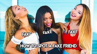 How to spot FAKE Friends ftThe Savage Squad [upl. by Decker]