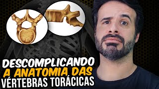 DESCOMPLICANDO A ANATOMIA DAS VÉRTEBRAS TORÁCICAS [upl. by Trammel]