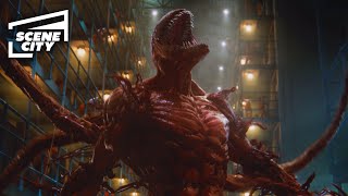 Venom Let There Be Carnage Prison Break HD MOVIE CLIP  With Captions [upl. by Oicangi201]