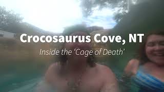 Cage of Death Crocosaurus Cove Darwin NT Australia [upl. by Anton200]