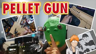 PELLET GUN  P1977 RIFLE vlog139 [upl. by Mercy]