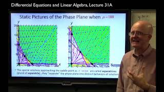 Competing Species Trapping Regions PoincaréBendixson Hyperbolic Equilibria Hartman Grobman Thm [upl. by Anig]