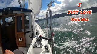 Motorsailer goes racing at Bart bash 2022 [upl. by Dominic]