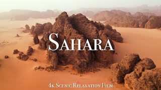 Sahara 2005  Stranded in the Desert Scene 710  Movieclips [upl. by Talanian869]