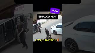 Los chapitos disparan a carro en Sinaloa narcosmexico sinaloa narcos culiacan ejércitomexicano [upl. by Asoramla]