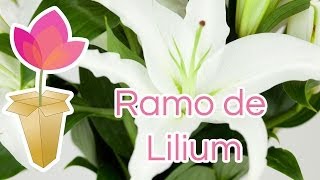 Cómo hacer un ramo de Lilium [upl. by Menell933]