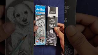 Artline Sketch Pencil Vs Brustro Coloured Pencil Art Stationary Unboxing Review shorts artsupplies [upl. by Zobkiw]