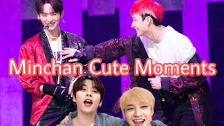 Minchan Cute Moments  🐺😈🐰 [upl. by Enahc]