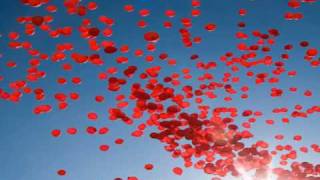 MySings NenaGoldfinger  99 Red Balloons [upl. by Tanhya]