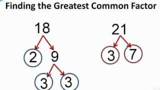 How to find the greatest common factor  from TutaPointcom [upl. by Ahtanamas736]