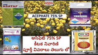 Acephate 75  SP insecticide అస్ఫేట్ 75 ఎస్పి detail in Telugu [upl. by Hawken]