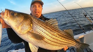 Striper fishing EXPOSED Catching Bait to Catching Stripers Where to fish How to fish and WHY [upl. by Aibat90]