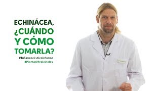 Echinácea cuándo y cómo tomarla Tu Farmacéutico Informa  PlantasMedicinales [upl. by Chariot]