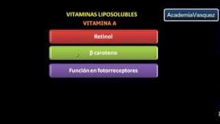 Vitaminas Liposolubles Vitamina A [upl. by Naasah]