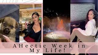 A WEEK IN MY LIFE  ROLLING LOUD KANYEDRAKE CONCERT amp NEW PUPPY [upl. by Anierdna346]