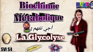 Biochimie métabolique partie des glucides la glycolyse SVI S4 en arabe [upl. by Nnairac]