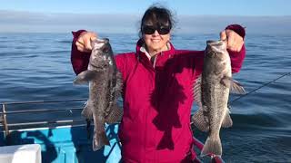 Bottom fishing Newport Oregon [upl. by Ttayh]