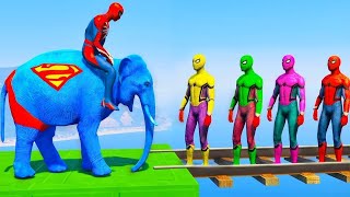 Long Slide Game With Elephant Gorilla Buffalo Hippopotamus Tiger  3d Animal Game  Funny 3d Animals [upl. by Pricilla]