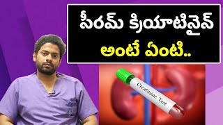 What is Serum Creatinine  సీరమ్ క్రియాటినైన్ అంటే ఏంటి  Samayam Telugu [upl. by Batsheva]