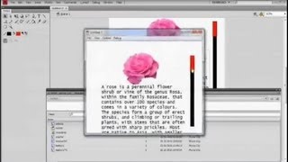 Make A Very Easy Custom Scrollbar In Flash [upl. by Nalaf]