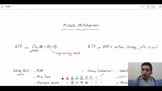 Physiology Of MUSK  Muscle metabolism and types of muscle fibers ❤️💞 [upl. by Sirah]