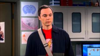 Amy Sheldon amp A Monkey TBBT The Workplace Proximity [upl. by Tnecnev583]