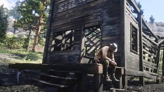 Red Dead Redemption 2 What to do at the start of Chapter 2 collecting the Limpany gold bar [upl. by Enyalahs]