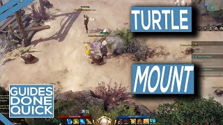 Where To Get The Turtle Mount In Lost Ark [upl. by Karoly]