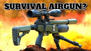 Can an Airgun Keep You Alive Testing the BRK Pathfinder [upl. by Etnaik193]