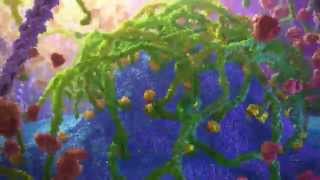 Inner Life of a Cell  Protein Packing Animation [upl. by Darin80]