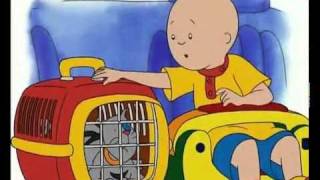 caillou turkce tek parca izle mp4 [upl. by Icram683]