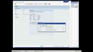 How to automate SAP inside the SPR Environment [upl. by Aihsened435]