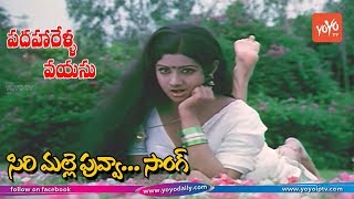 Sirimalle Puvva Video Song HD  Padaharella Vayasu Movie Songs  Sridevi  YOYO TV Music [upl. by Hairacaz615]