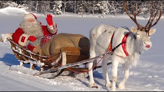 Gli animali di Babbo Natale Lapponia le migliori storie 🎅🦌🐕 renne e cani di Santa Claus messaggio [upl. by Ignacia111]