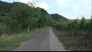 Radfahren und Radtouren in Deutschland  MoselRadweg [upl. by Gnouhp903]