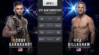 Cody garbrandt vs TJ Dillashaw full fight ufc 217 [upl. by At]