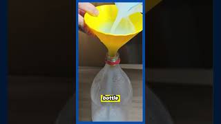 ✨ Get Impeccable Scented and InsectFree Floors with This Homemade Cleaner ✨ [upl. by Jocko433]