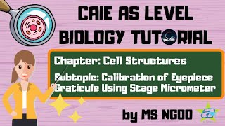 BIO Calibration of Eyepiece Graticule  Cell Structures  Calculate actual cell size [upl. by Fredenburg12]