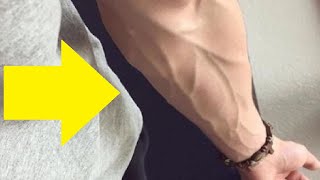 how to get veiny hands and forearms intense workout [upl. by Atkinson]