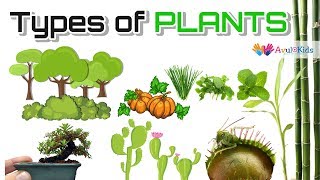 Types of plants  Science for kids TreesHerbsClimbersCreepersThorny plantsWater Plants [upl. by Nnylarac27]