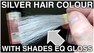 Ep 5  Creating SILVER Grey hair color using Shades Eq Glossthe PERFECT formula [upl. by Ytirahc]