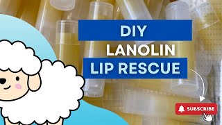 DIY LANOLIN LIP BALM [upl. by Obediah849]