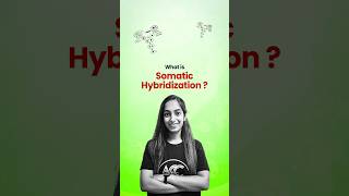 Somatic Hybridization [upl. by Dona]