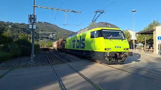 Usfahrt vo de Re 465 011 mit Brunbär und Valentina in Oensingen OeBB [upl. by Eannej]