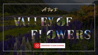 Exploring the Majestic Valley of Flowers  Nomadic Buddies Travel Vlog [upl. by Meelak473]