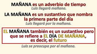 LA MAÑANA  EL MAÑANA morfosintaxis fonética semántica cacofonía elipsis cambio semántico [upl. by Aynatahs156]