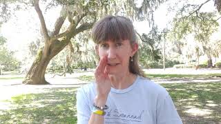 Elope to Savannah  updated how to elope video [upl. by Ahsata]