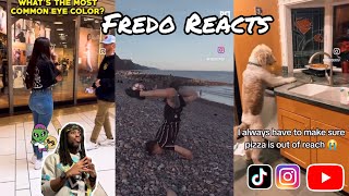 If you laugh you lose super hard  Fredo on TV [upl. by Salkin]