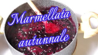 RICETTA AUTUNNALE Confettura di mirtilli bio in 30 minuti [upl. by Ainirtac]